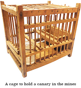 A cage to hold a canary in the mines