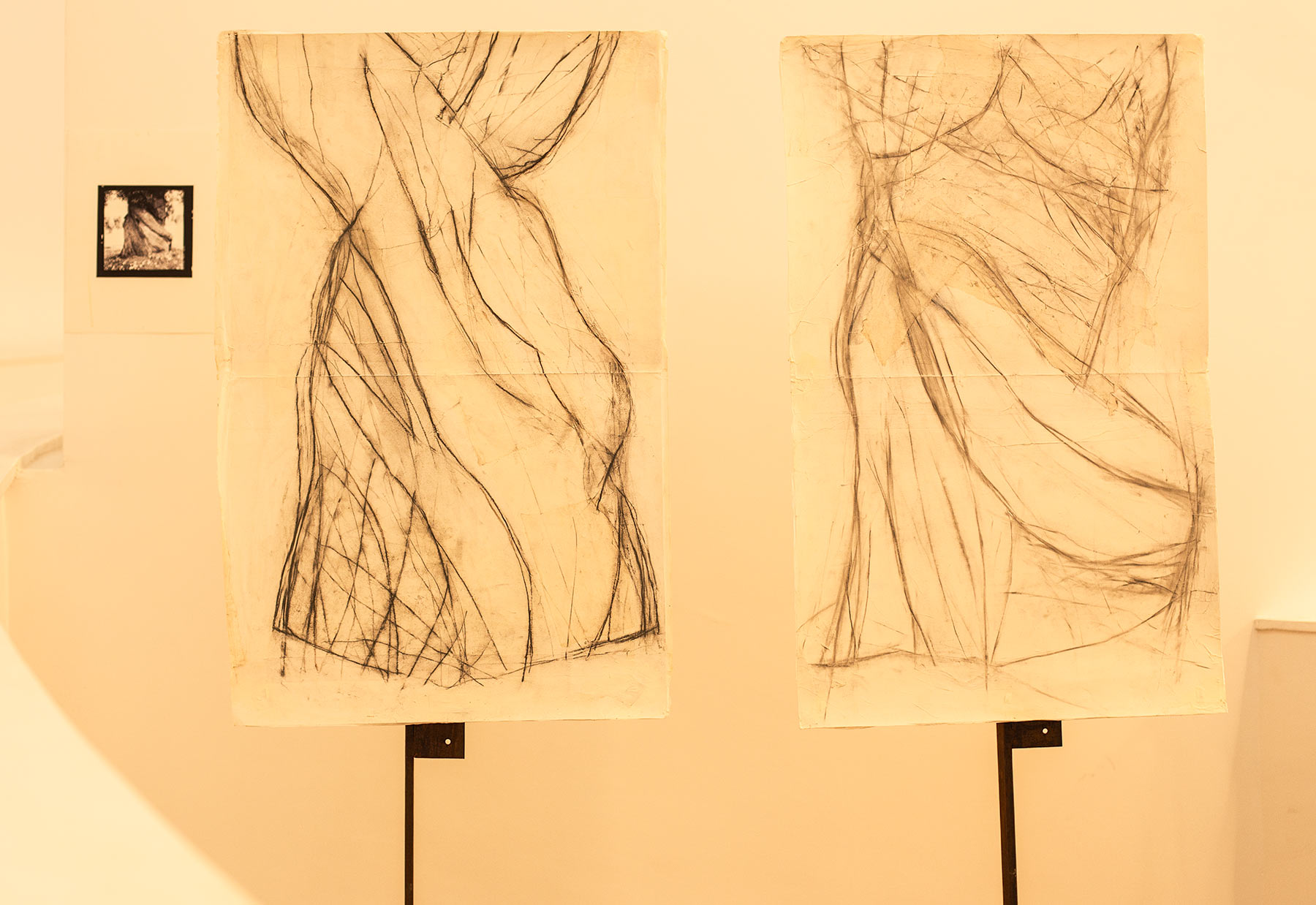 Field Notes exhibit drawings on view